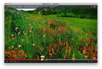 https://www.nomachine.com/sites/all/themes/frontend/images/people/How-fast-is-fast.jpg