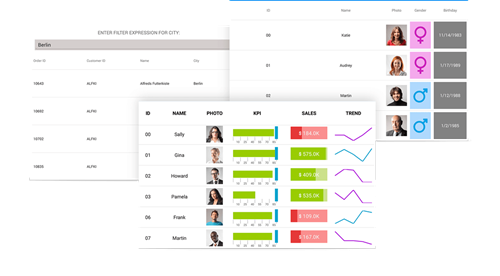 Xamarin Data Grid