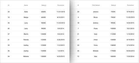 Xamarin Data Grid: Sorting and Filtering