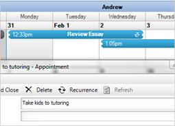 WinForms Schedule Calendar Functionality