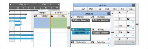 WinForms Scheduling Views