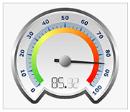 Nevron ssrs gauge multiple axes